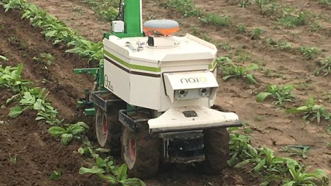 Le Conseil horticole d’Ile-de-France organise le 12 juin une journée de présentation de matériel et équipements avec, entre autres, des démonstrations de robots. F.Arnould